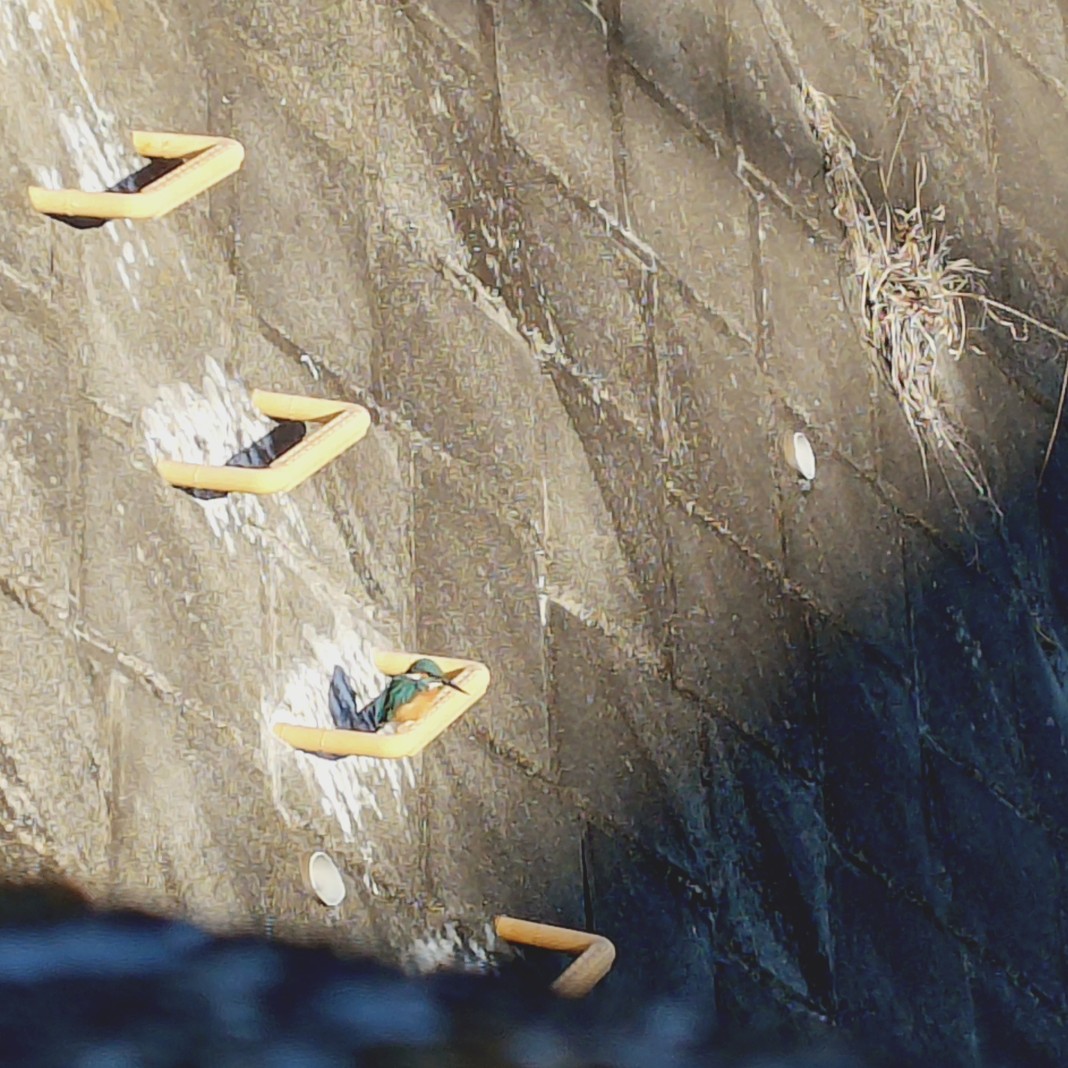 satoyuki tweet media