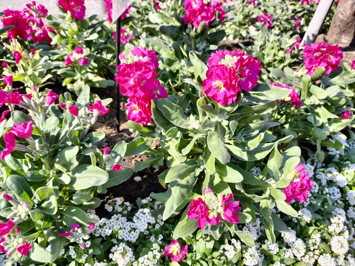 夕方のRie Selection🌆山下達郎さん誕生日につき
♪MOVE ON  
♫哀しみのJODY(She Was Crying) でした。
ここまでご傾聴ありがとうございました💕

23:30～「Your Song, My Life」の再放送もお楽しみに♬  18時からは「ロッキンスター」です！引き続きかつしかFMをお聴きください #kfm789 #ys789