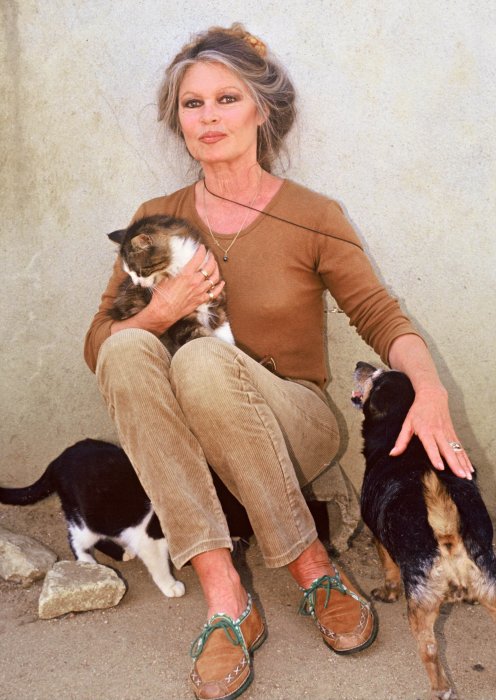 Henry-Jean Servat tweet media