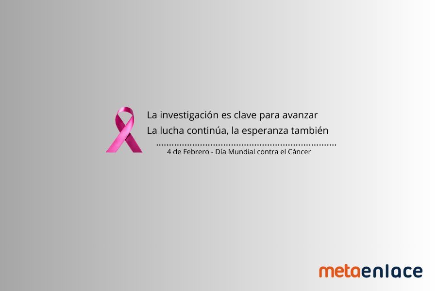 Metaenlace tweet media