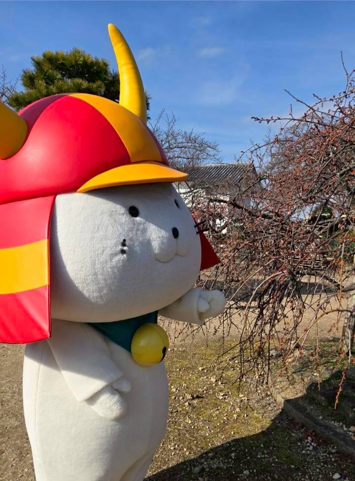 いいのすけ【公式】 (@iinosuke_hikone) / Posts / X