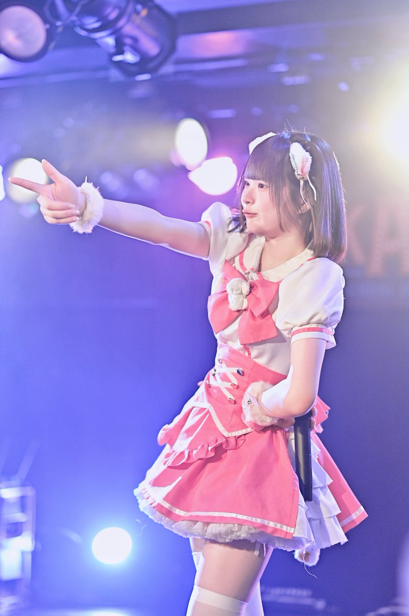 にるちゃん✨ @_nirunyazz_ #HoneyLuminous #にゃんぽんたん