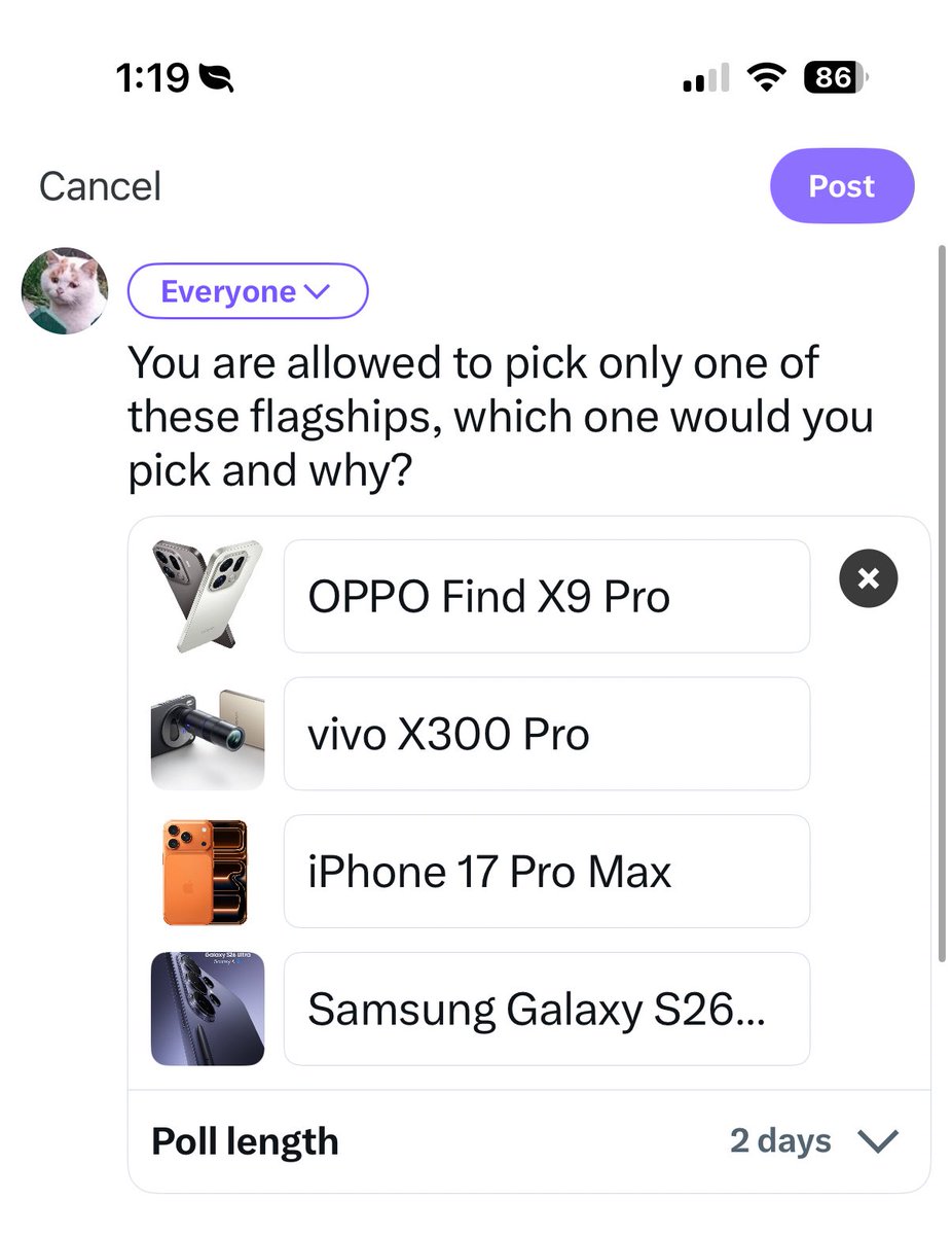 Noah Cat tweet media