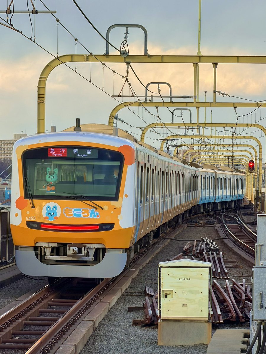 もこりん 悲しそうに見つめる…もころん…その後 転線する時の…もころんは見てくれ