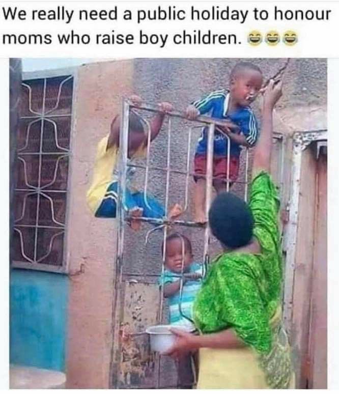 Nolwazi tweet media