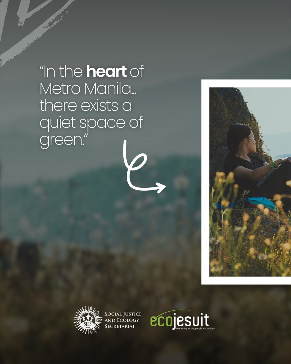 Ecojesuit tweet media