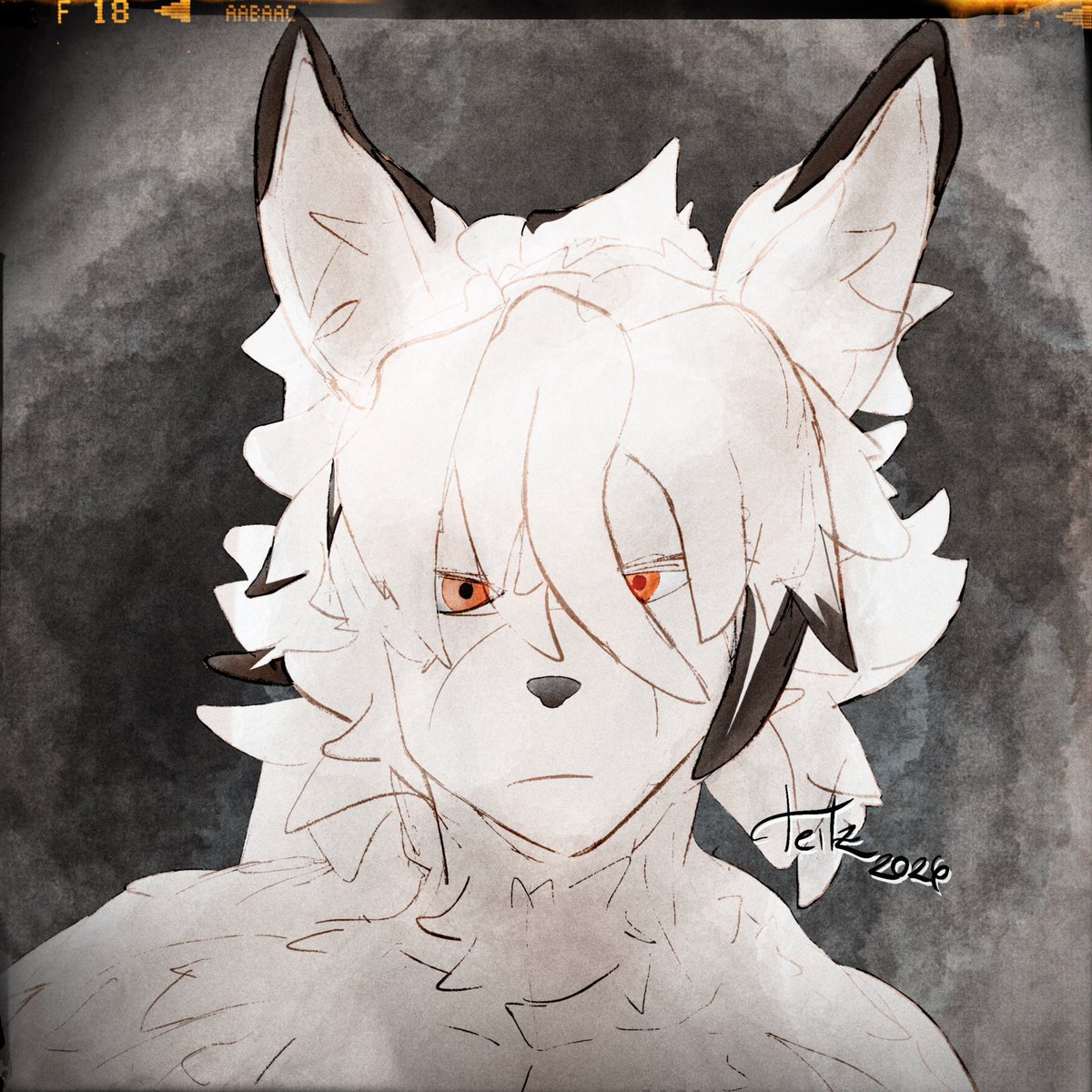 Past🐺☕️
#Lycaon