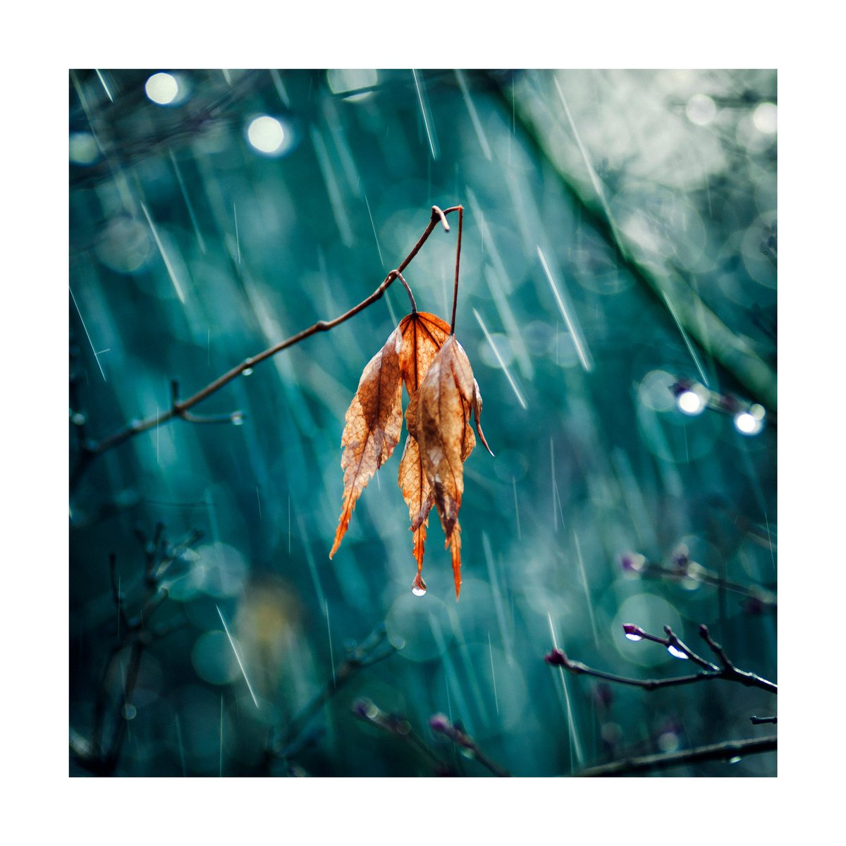 Define The Light tweet media