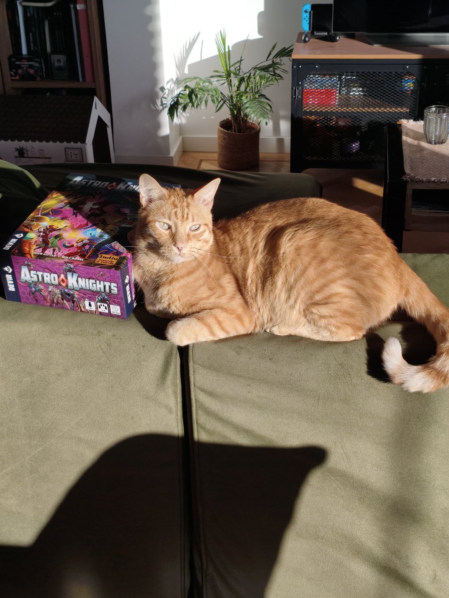 Antonio López tweet media