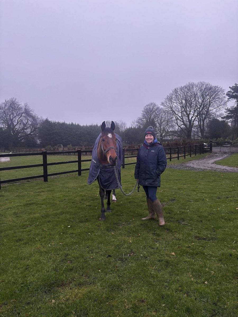 MHammondRacing's tweet photo. Kazar Forez enjoying a pick of grass this morning #TeamMH #WINNER https://t.co/GvEFuxjIBB