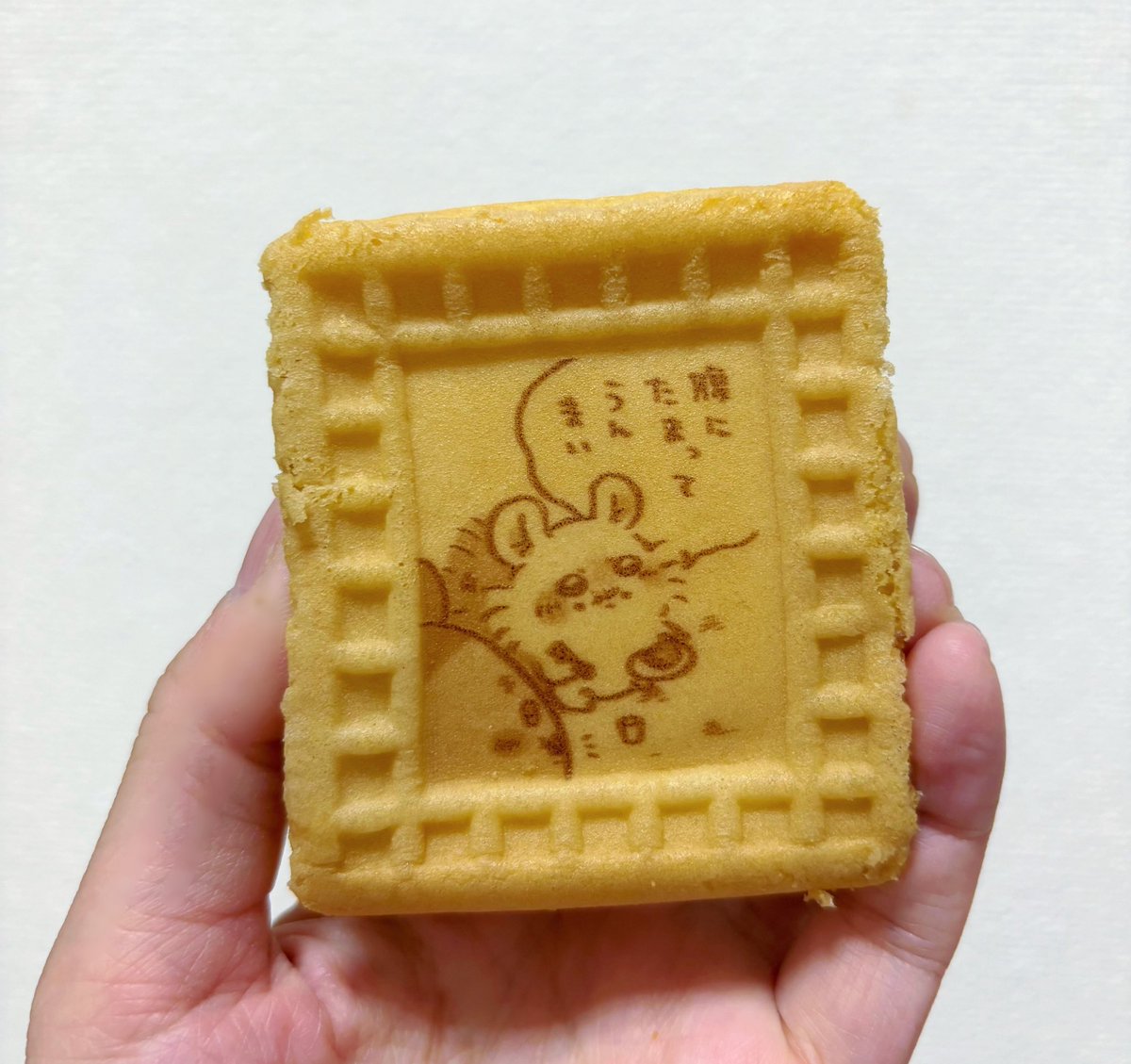 つくね (@senritsutsukune) / Posts / X