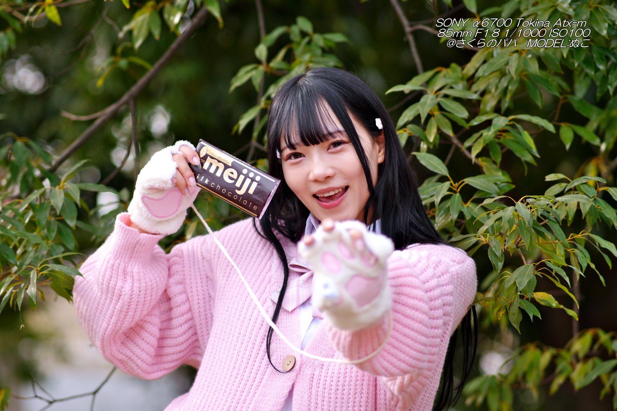 🇺🇦さくら🐇のパパ🇯🇵高配当株に移行中🇺🇦 (@K70_55) / Posts / X