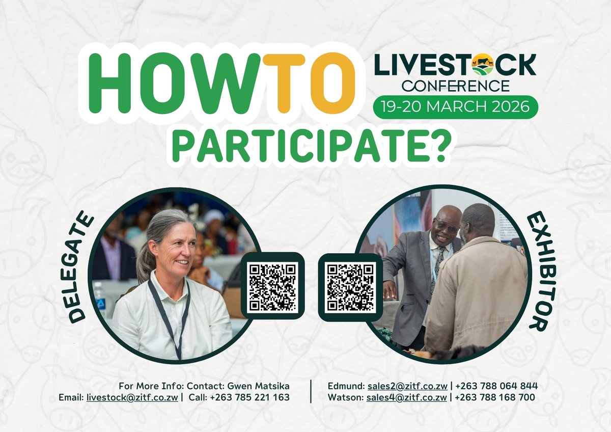 ZITF Company tweet media