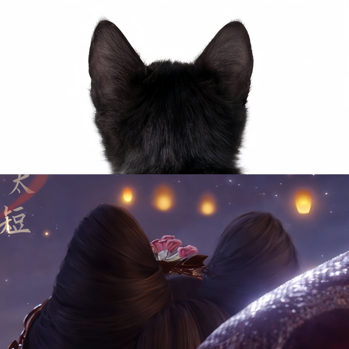 sieranoxa's tweet photo. Spot the difference https://t.co/1lxP68Et6N