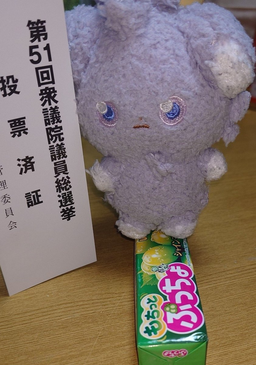 ニャスパーも投票に行こう😼