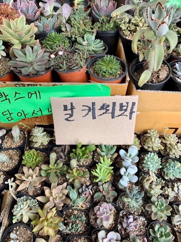 쮝 tweet media