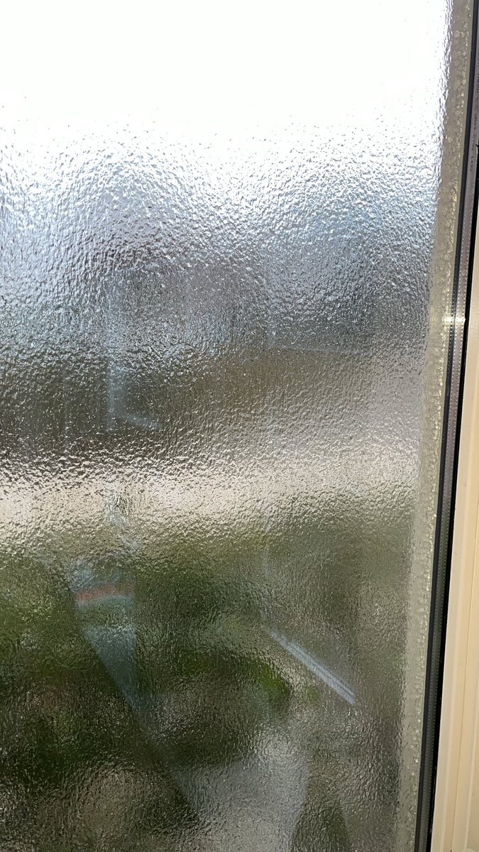 thecutecatmom tweet media