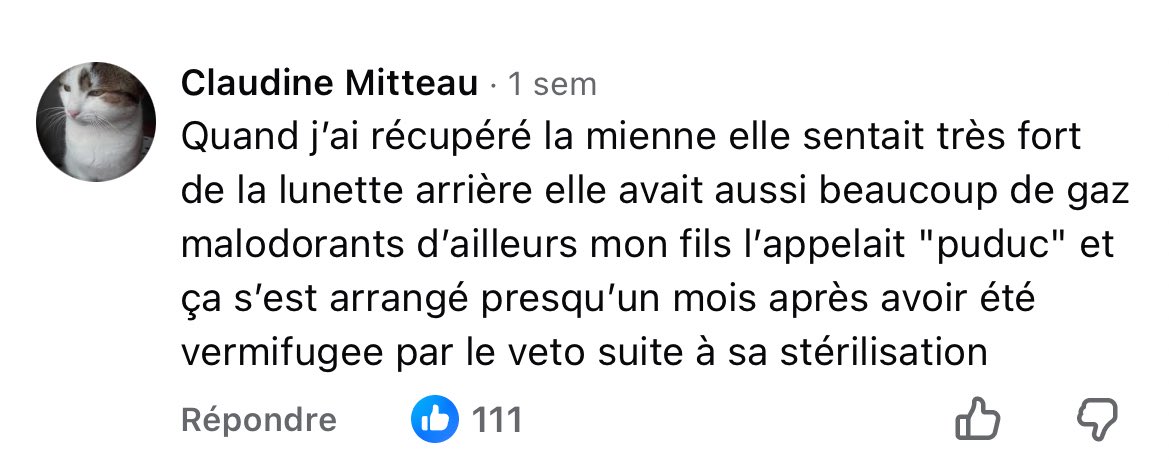 evaaasereje's tweet photo. les groupes d’entraide pour les chats sur Facebook c’est quoi ça 😭😭😭 je suis en fou rire https://t.co/ncu3D9MTxh