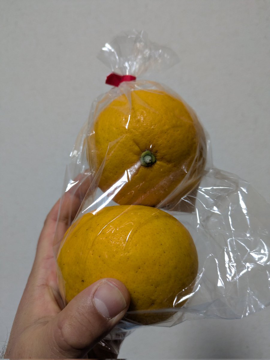 今日は久しぶりにファーマーズマーケットに行ったよ。今年初の甘夏