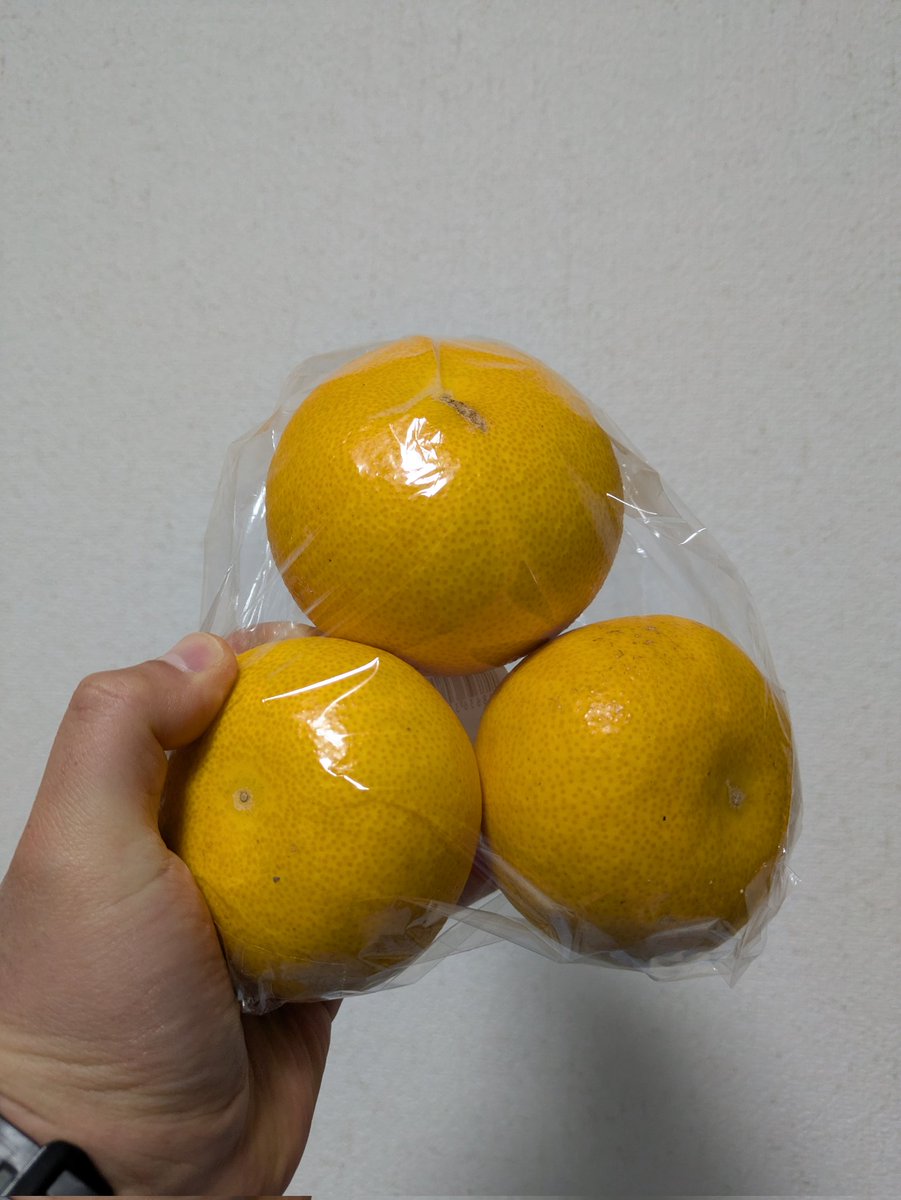 今日は久しぶりにファーマーズマーケットに行ったよ。今年初の甘夏