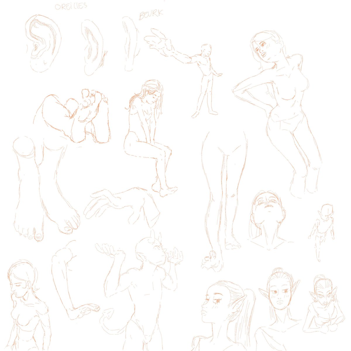 ss0d4p0p's tweet photo. #etudes #anatomy #drawing https://t.co/yUv1SXGaya