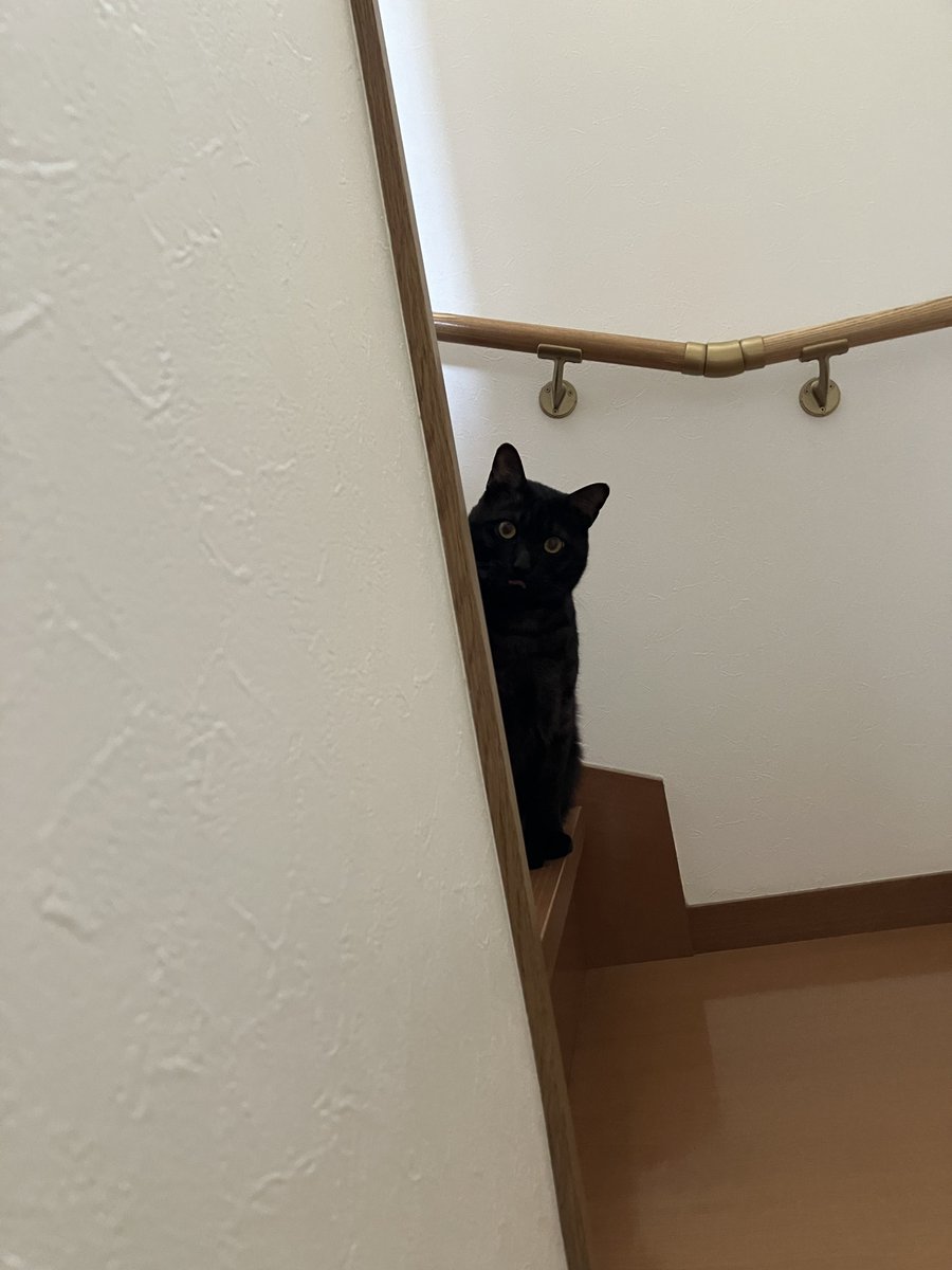 しお (@1919______x) on X