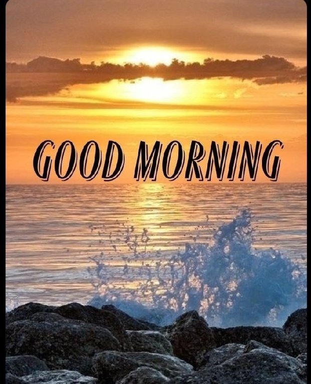 Sunusi 🦅 tweet media