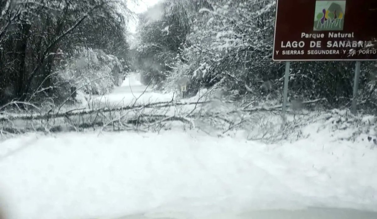 news_zamora's tweet photo. Al menos 3 árboles caídos complican la circulación en varias carreteras de Sanabria tras la nevada nocturna
https://t.co/MwJVi8SUpG https://t.co/Q9RGUSnFpk