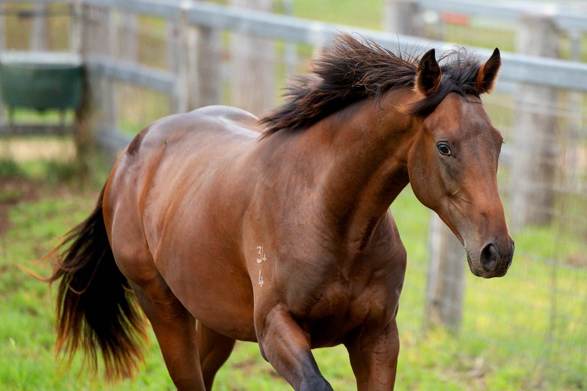 WillowParkStud tweet media