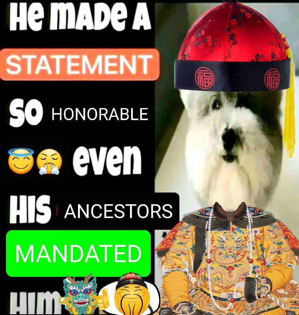 your average joe tweet media