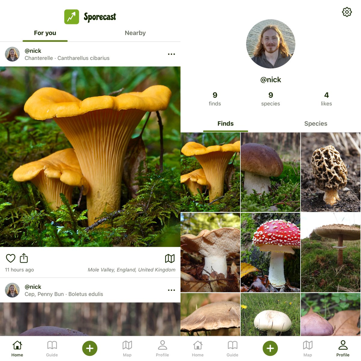 Nick Convery tweet media