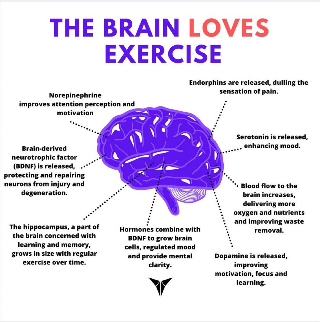 iHamadFahad7's tweet image. الدماغ يحب التمرين 🧠💪🏽

ليست المسألة لياقة فقط، التمرين يغيّر كيمياء دماغك حرفيًا.

وهذا ما يحدث عند الحركة المنتظمة:

ماذا يفعل التمرين داخل دماغك؟
•إفراز الإندورفين
يخفّف الإحساس بالألم ويمنح شعورًا بالراحة.

•ارتفاع السيروتونين
يحسّن المزاج ويقلل الاكتئاب والقلق.

•تحفيز…