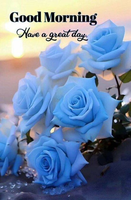VandamNguyen's tweet photo. @zafarullah303 https://t.co/pNVKF4FwP0