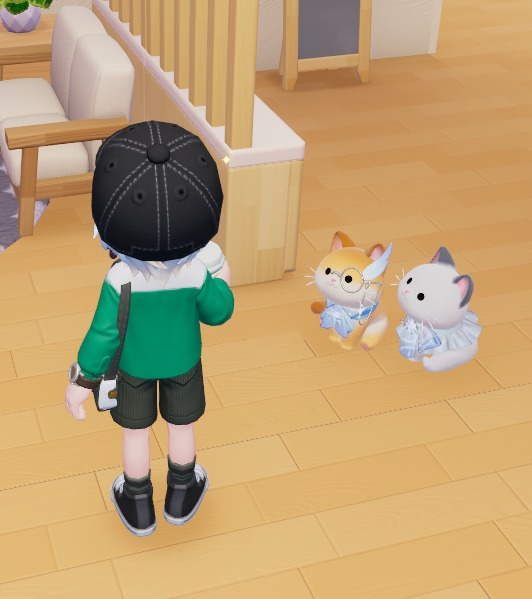 lz_bear's tweet photo. back from work and they are staring at me like i forget to feed them https://t.co/9p8GlHLQC0