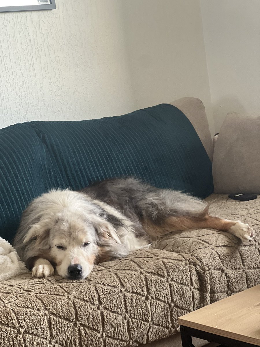 mon bébé a 10 ans aujourd’hui 🥲