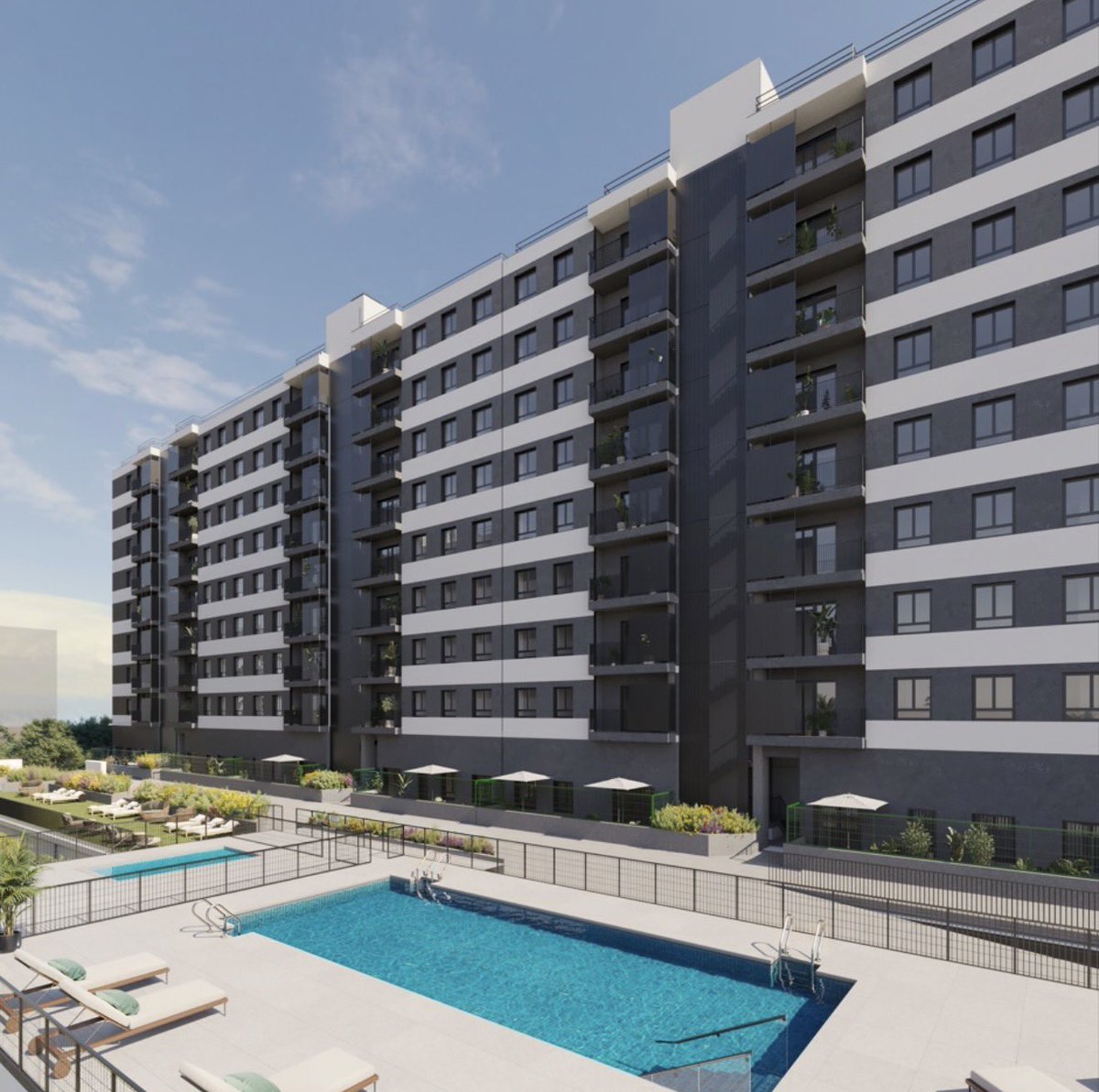 BaboonLab tweet media