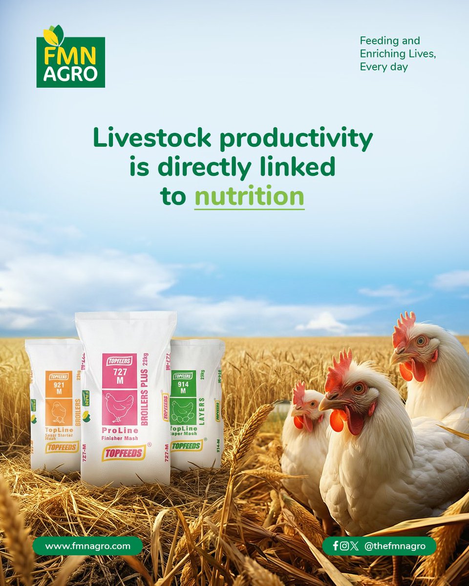 TheFMNAgro's tweet image. When animals are properly fed, they grow faster, stay healthier, and deliver better market value. Poor nutrition, on the other hand, affects both quality and profitability.

Our feeds are formulated to support growth, strength, and overall animal health.

#FMNAgro #farming