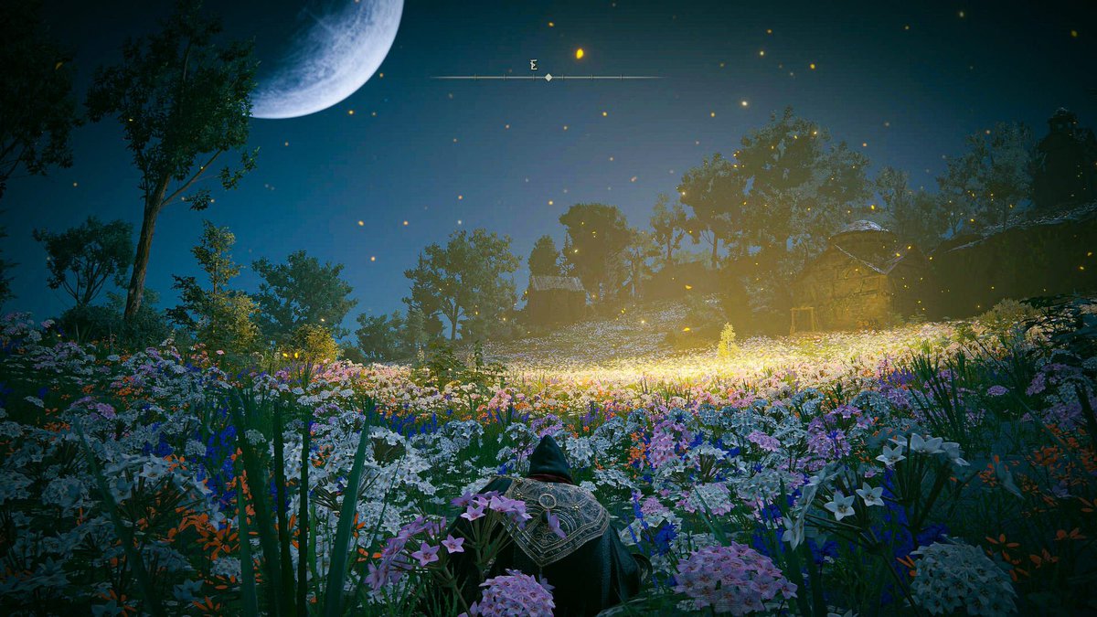 Lonely echoes, whispering the tragedy.