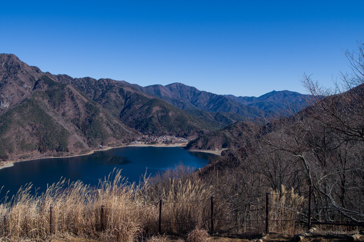 David Lowe tweet media