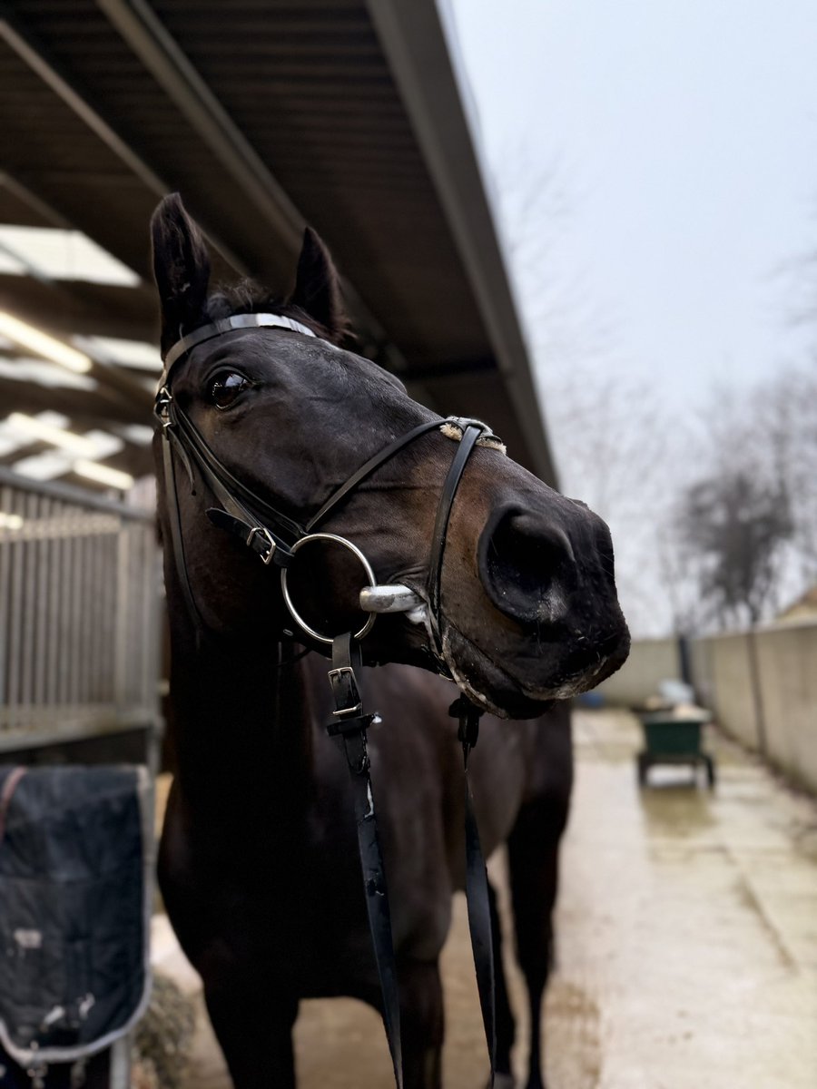 Beth McCabe tweet media