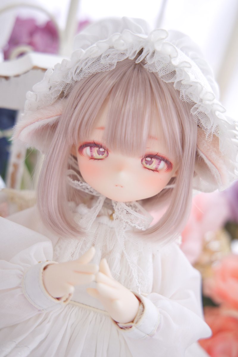 うぱたろー tweet media