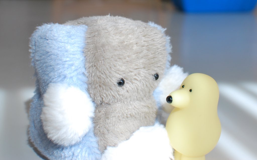 カネヒラ (@simainusima) / Posts / X