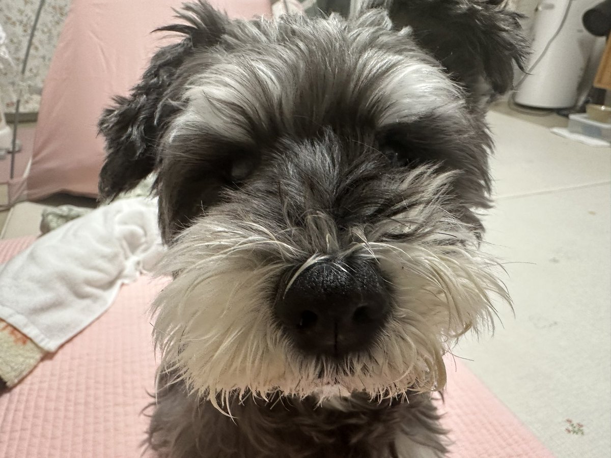 …할아버지 얼른 줘라 줘라. 
(이 분은 할머니임. 아니.. 아직 아기공주😍)