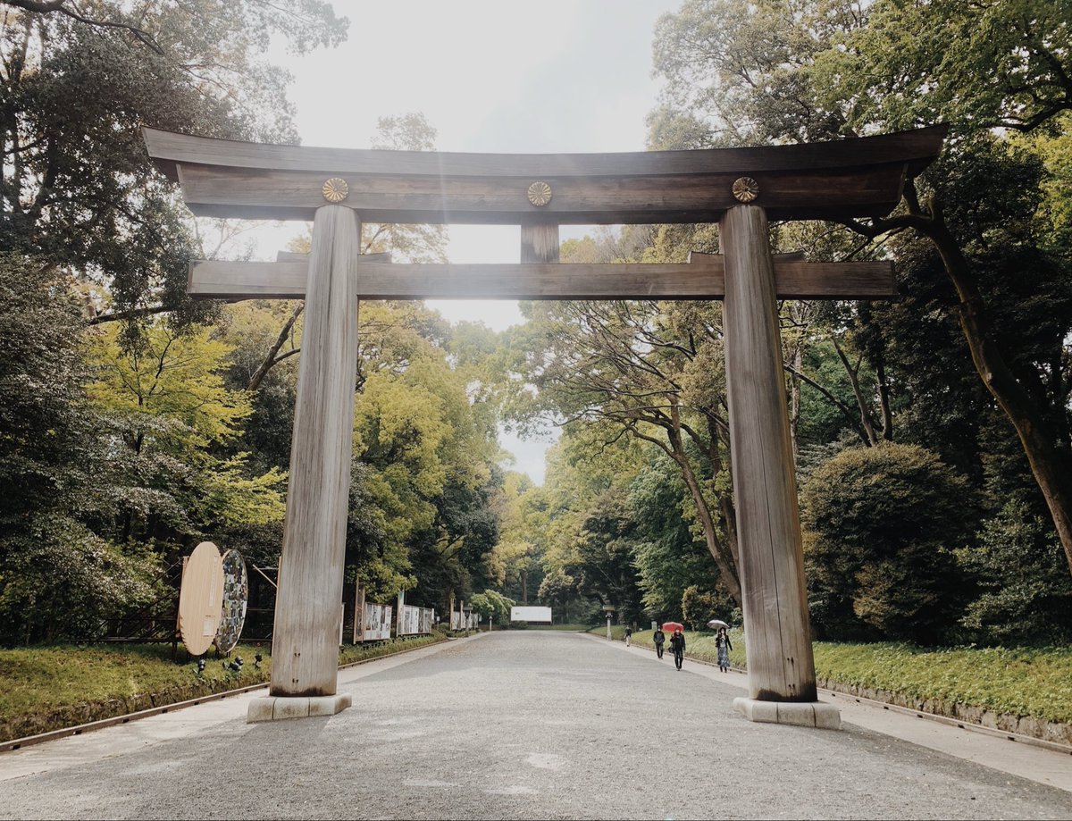 漫画家の日記 tweet media