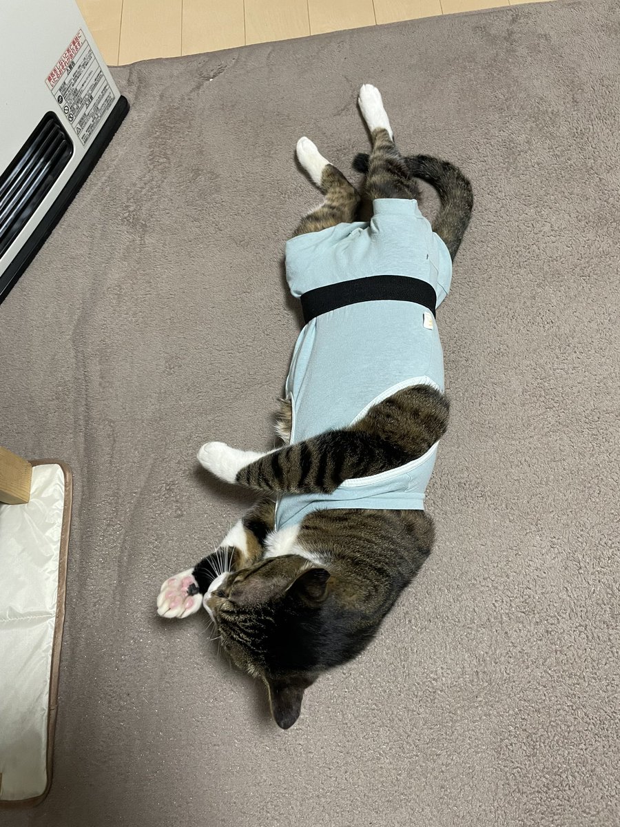 皆さんお疲れ様〜^_^