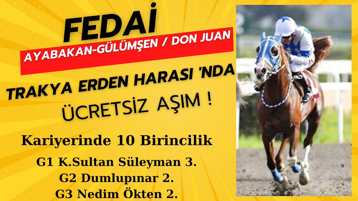 📍<a href="/erdenstud/">Erdenstud</a> 

Tekirdağ / Saray

🔻Aygırlar için iletişim numarasından ulaşabilirsiniz   ⤵️