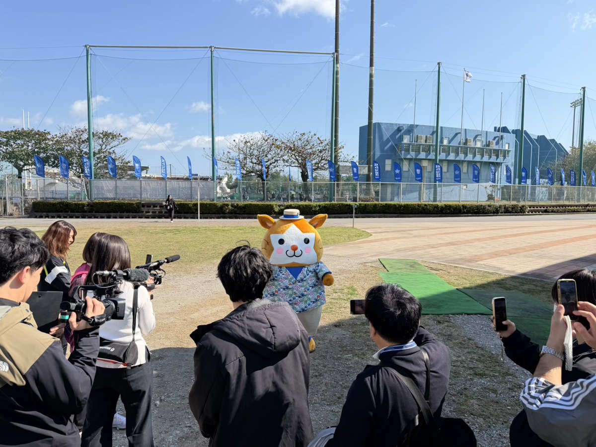 ydb_yokohama's tweet photo. 選手さながらのメディアの囲み取材を受けたあと #DBスターマン ブルペン入り？と思いきや中の様子が気になるようで笑👀

#坂本裕哉 投手
#春季キャンプ #宜野湾キャンプ 
#baystars https://t.co/21Be2tVkWN