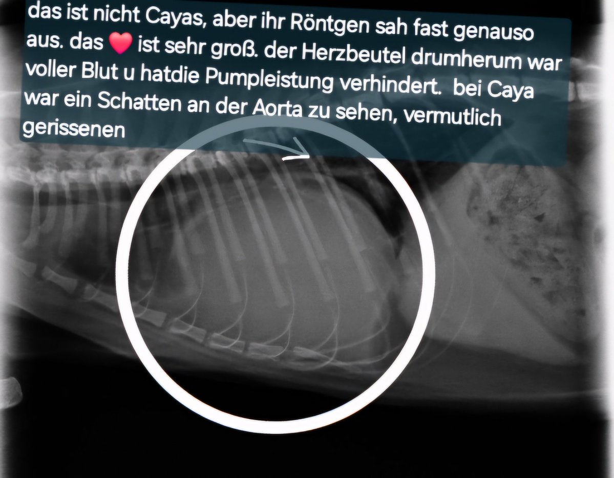 irisA201's tweet image. 🖤🖤🖤🖤🖤🖤🌈🌈🌈🌈🌈