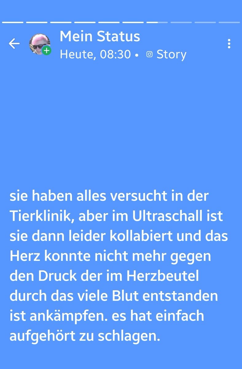 irisA201's tweet image. 🖤🖤🖤🖤🖤🖤🌈🌈🌈🌈🌈