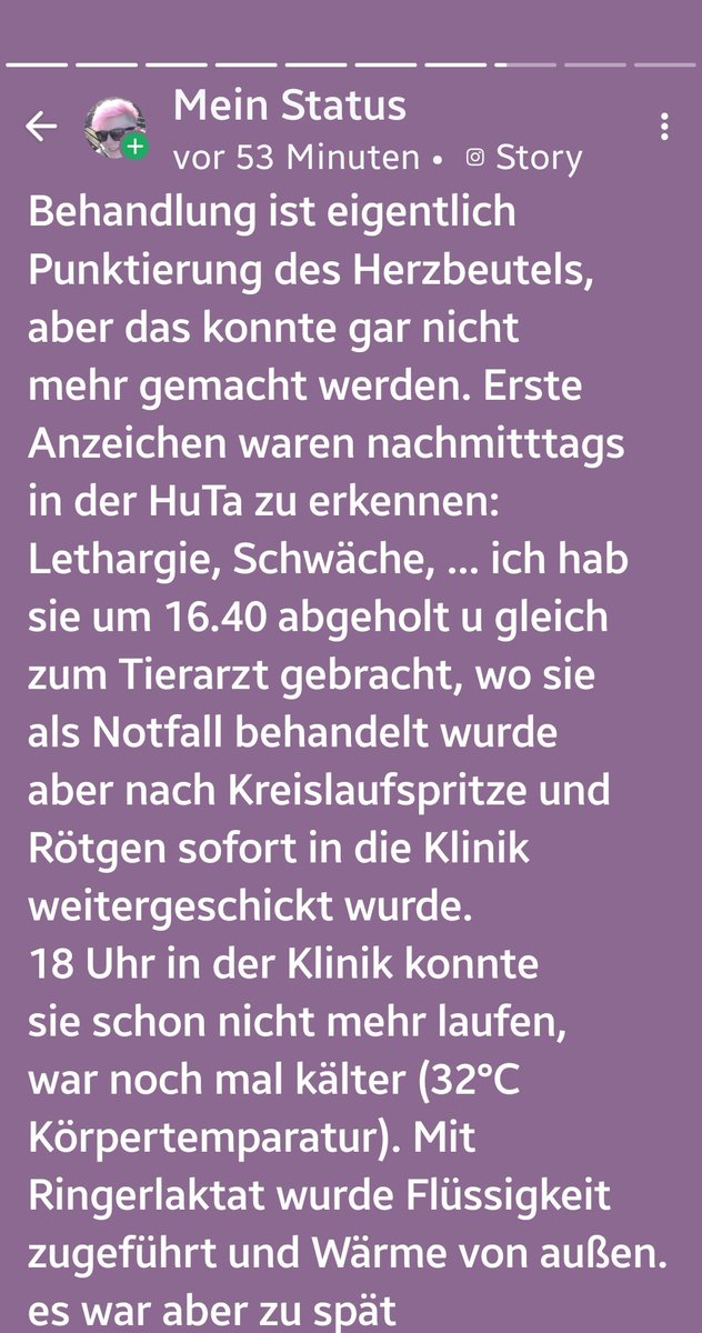 irisA201's tweet image. 🖤🖤🖤🖤🖤🖤🌈🌈🌈🌈🌈